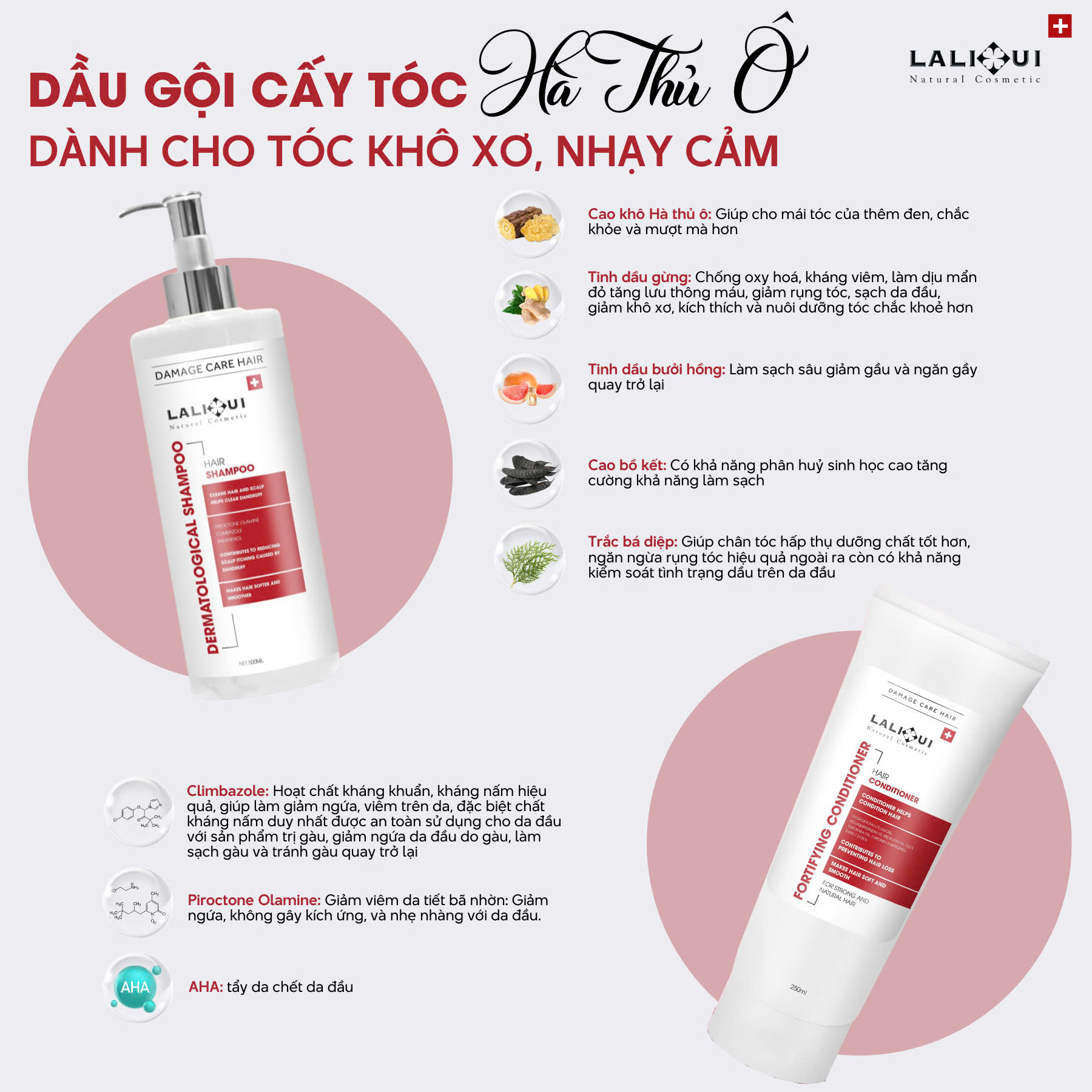 Dầu gội cấy tóc derma care